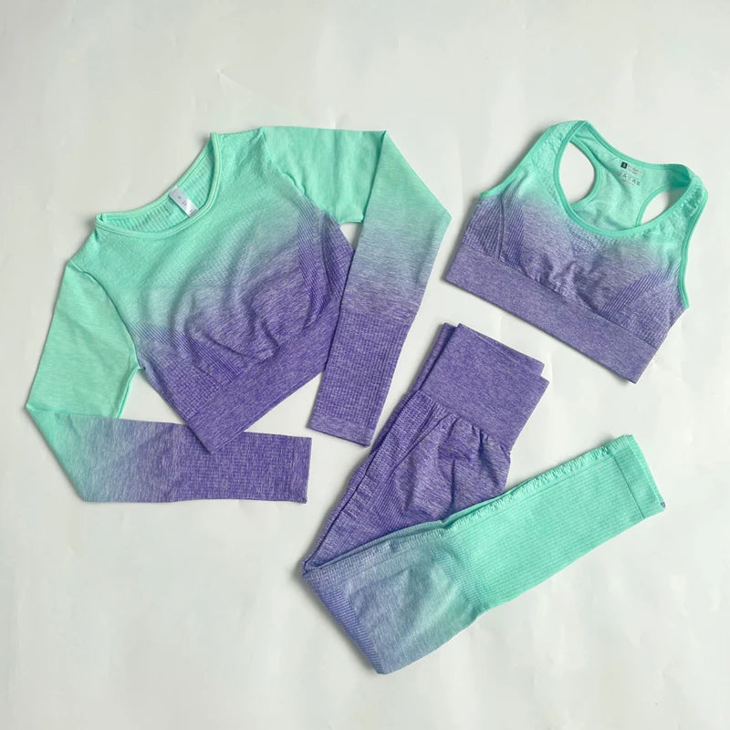 Ombre Seamless Workout Set