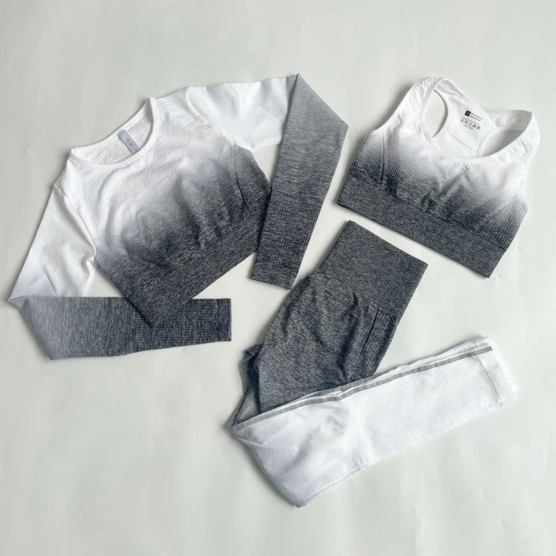 Ombre Seamless Workout Set